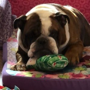 Meet your Posher, Kosta